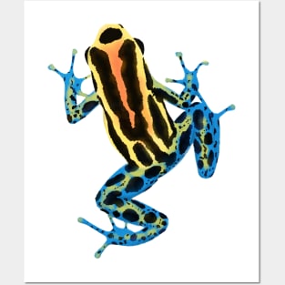 Froggy Posters and Art